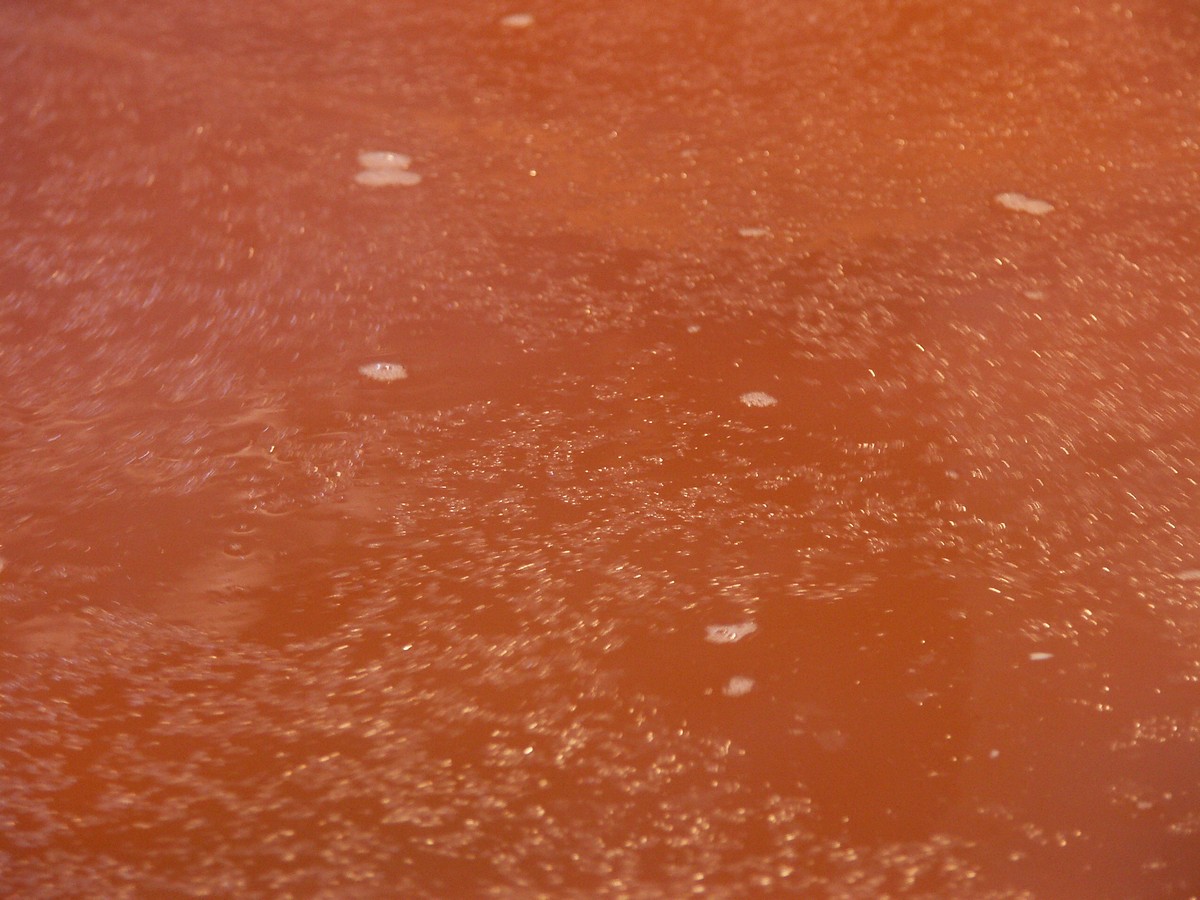 PICT0037.jpg