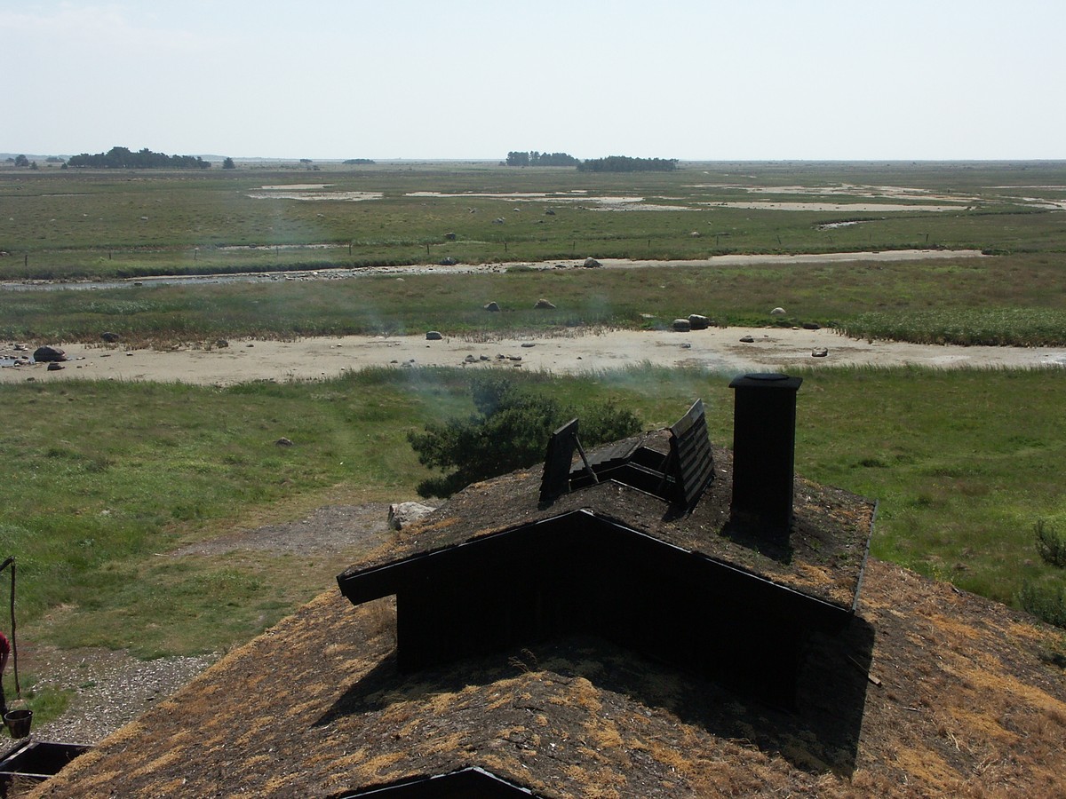 PICT0040.jpg
