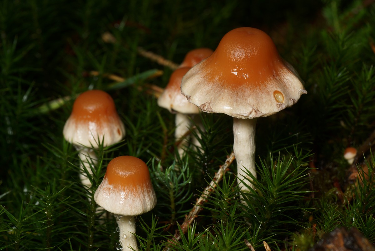 Puslespil%202013%20f%E6rdig/AAR-1%20S%F8by%20JP-DSC03758.JPG